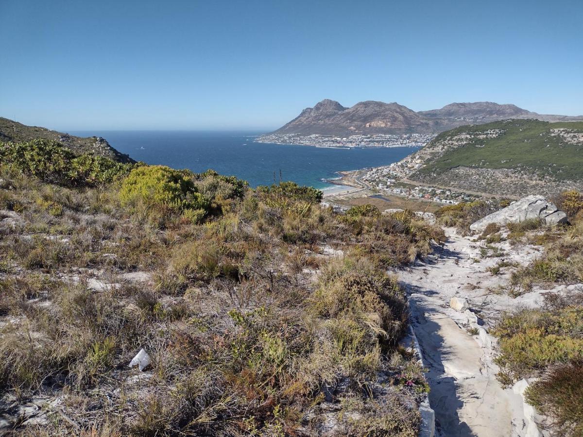 Lark House, Peaceful Mountain Home With Ocean Views And Power Backup Cape Town Luaran gambar